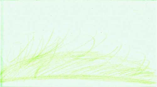 Figura 3 - Verde sem utilidade