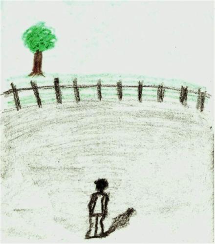 Figura 21 - A cerca, sozinho