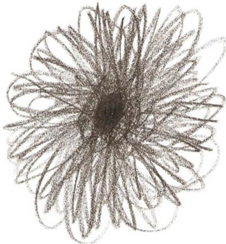 Figura 15 - Buraco de cordas